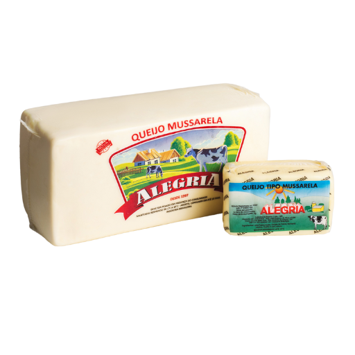 queijo-tipo-mussarela-quadrado-conjunto-512x512